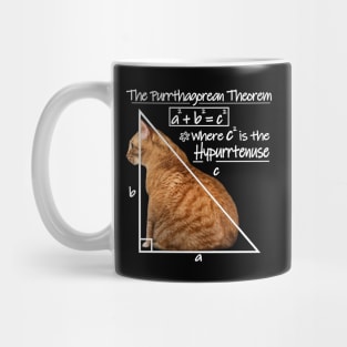 The Purrthagorean Theorem to find the hypurrtenuse. Mug